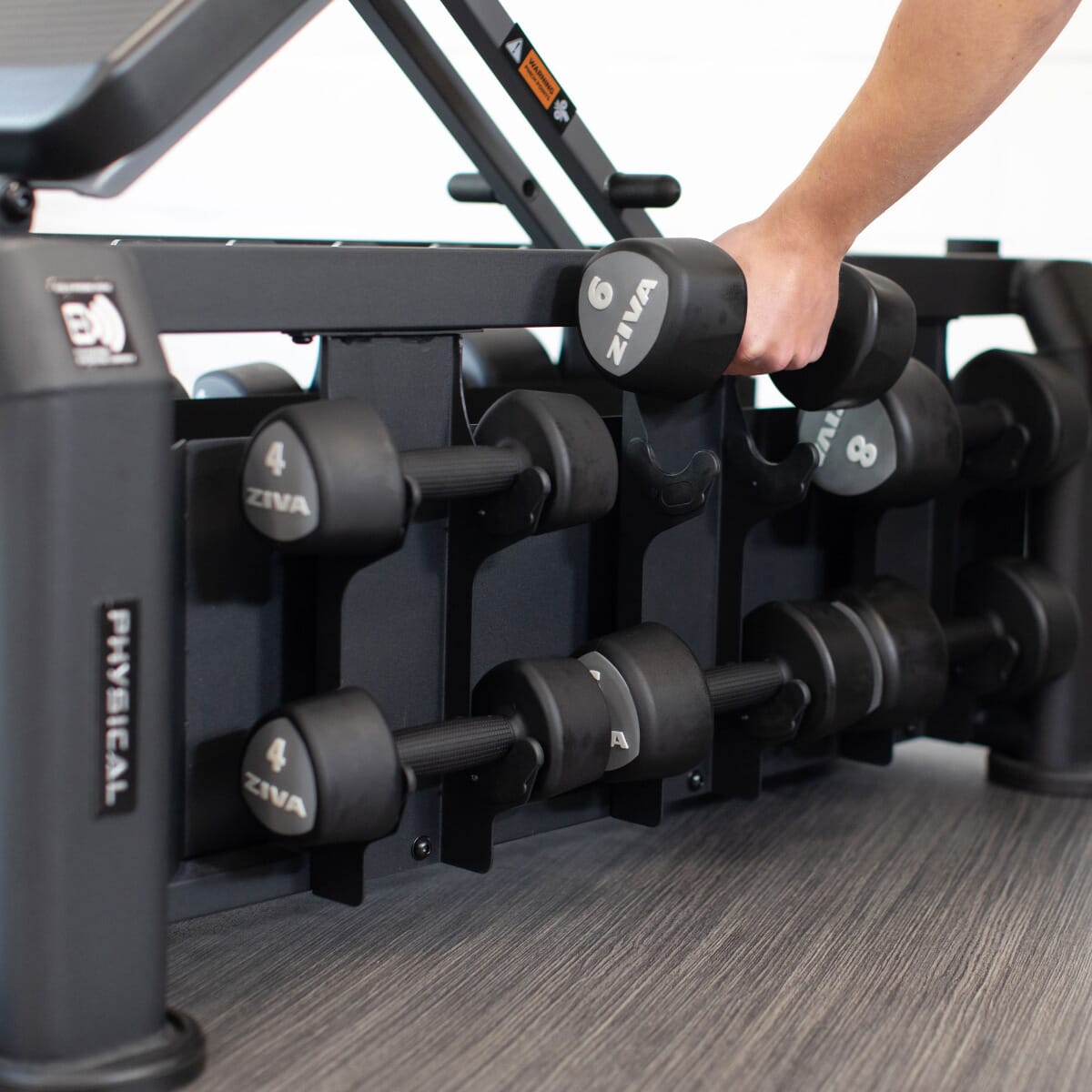 Physical Evo Bench and PU Dumbbells