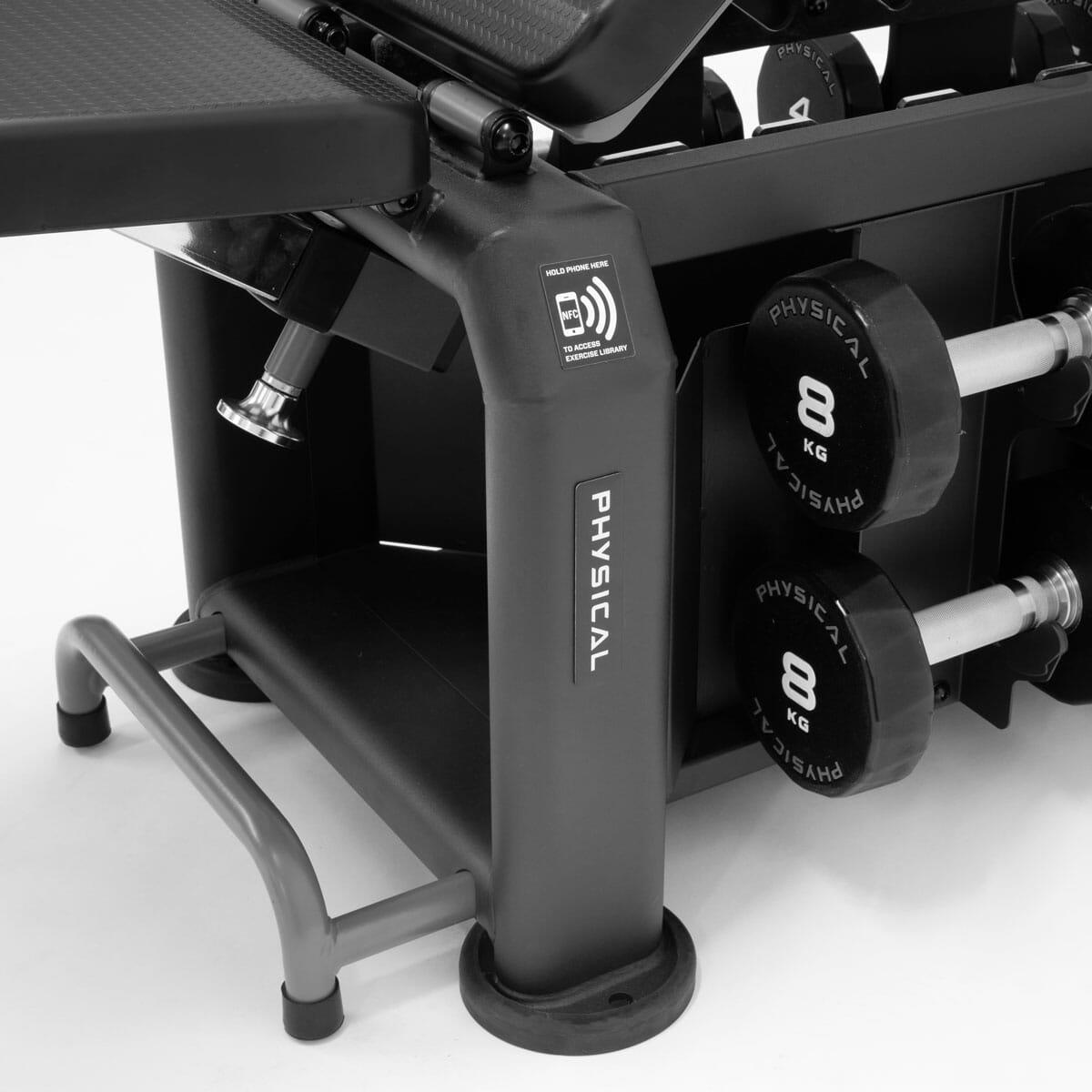 Physical Evo Bench and PU Dumbbells