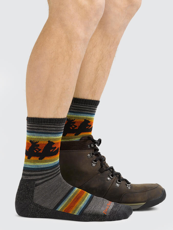 Darn Tough 5003 Willoughby Micro Crew Lightweight Hiking Men's Cushion Socks