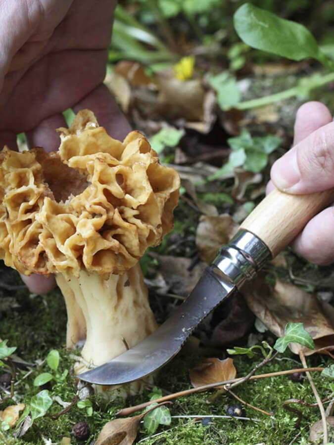 Opinel No.8 Mushroom Knife