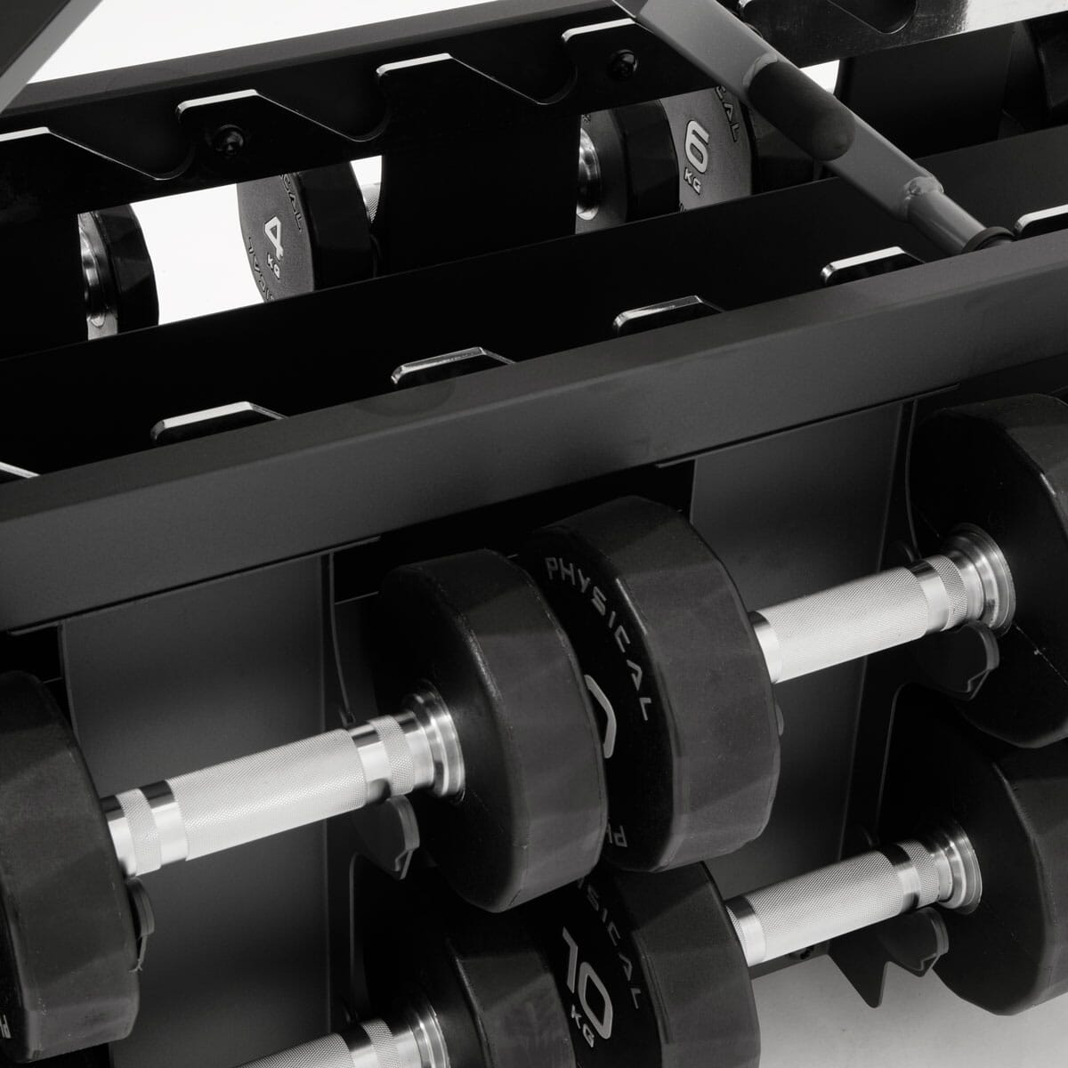 Physical Evo Bench and PU Dumbbells