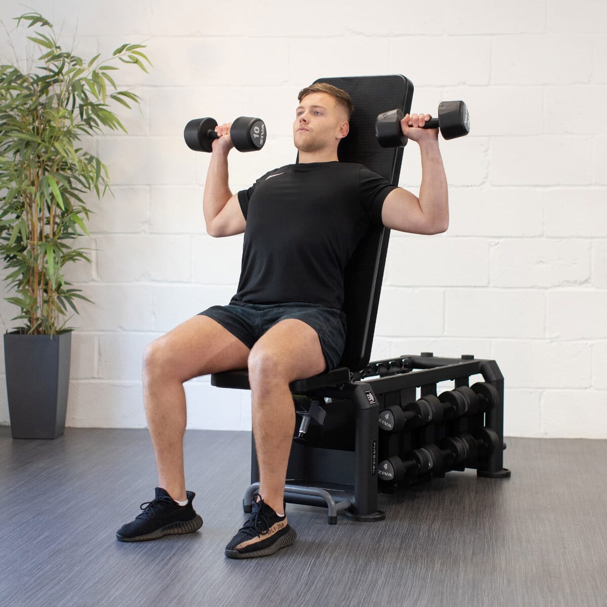 Physical Evo Bench and PU Dumbbells